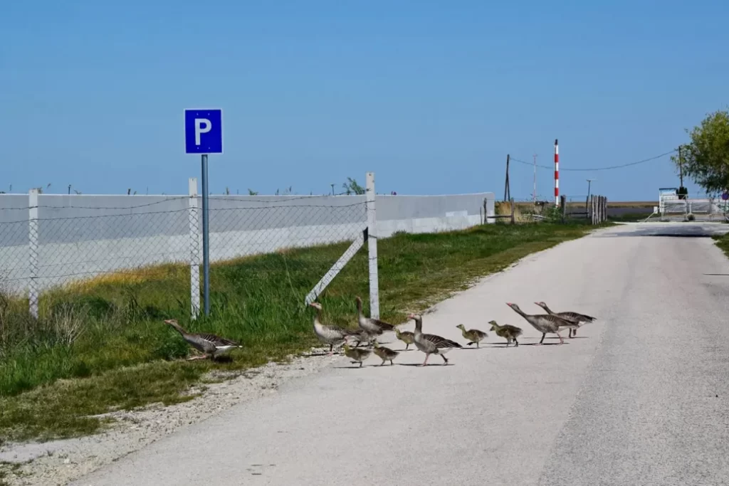 A Túlbetonozva kampány képeken mutatja be az ország beépítését