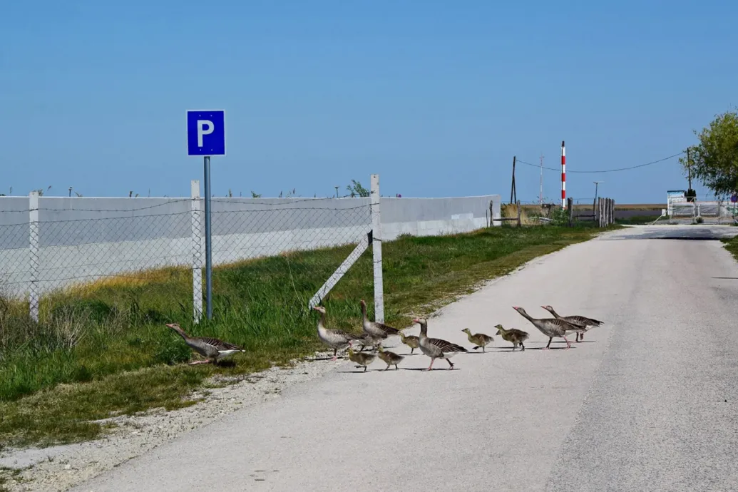A Túlbetonozva kampány képeken mutatja be az ország beépítését